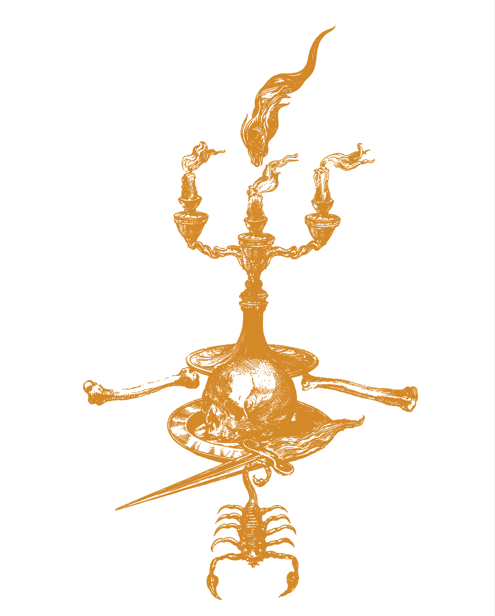 cb00e6de58ade81d1e896c1341561425